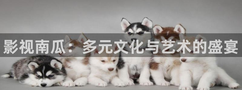 开心影院免费高清电视剧：影视南瓜：多元文化与艺术的盛宴