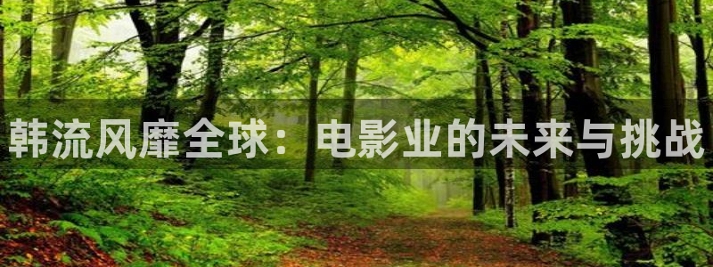 开心影院网址：韩流风靡全球：电影业的未来与挑战