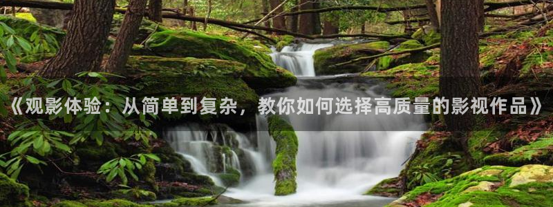 伊人开心影院：《观影体验：从简单到复杂，教你如何选择高质量的影视作品》