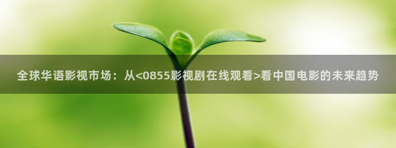 开心影院30秒：全球华语影视市场：从<0855影视剧在线观看>看中国电影的未来趋势