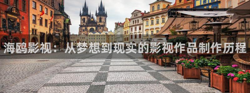 开心影院免费电影：海鸥影视：从梦想到现实的影视作品制作历程