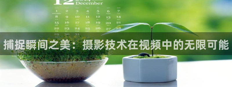 妻子的情人开心影院：捕捉瞬间之美：摄影技术在视频中的无限可能